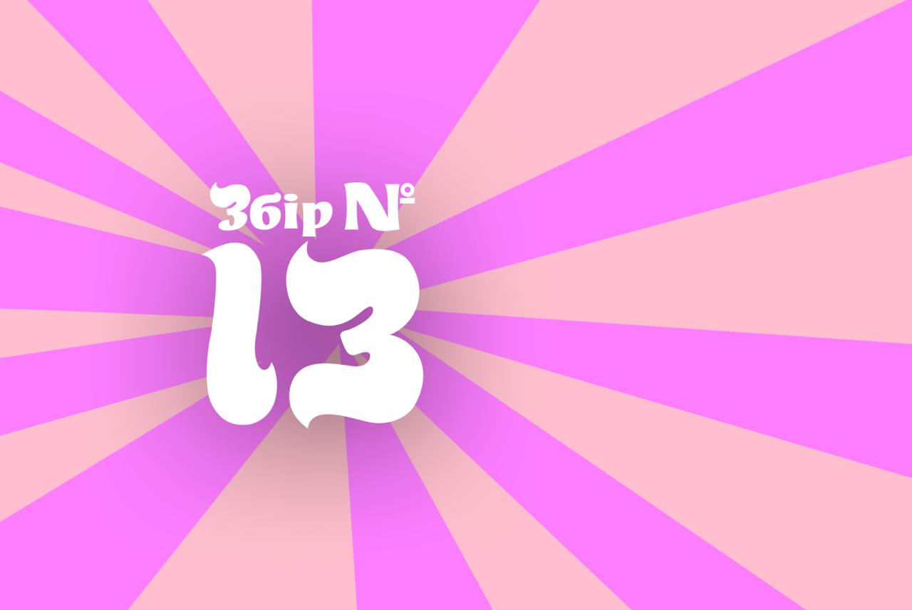 ЗБІР №13 на захист неба від ворожих дронів